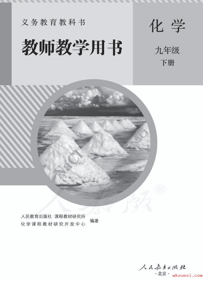 2021年 人教版 初三 化学九年级下册 教师用书课本 pdf 电子版