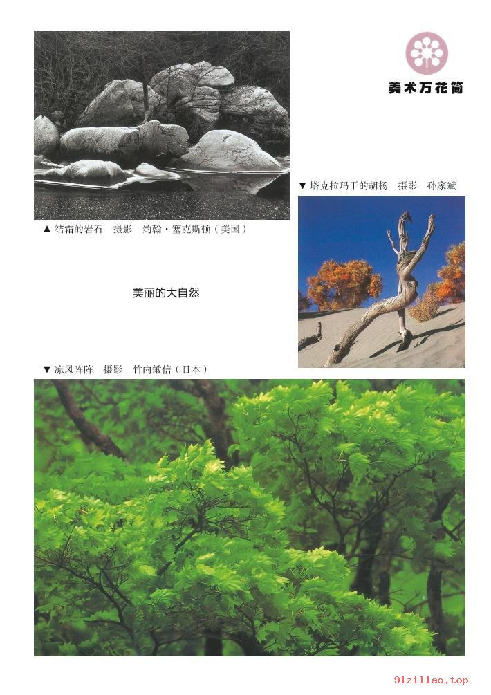 2022年 湘美版 美术三年级上册 课本 pdf 高清 - 第2张  | 小学、初中、高中网课学习资料