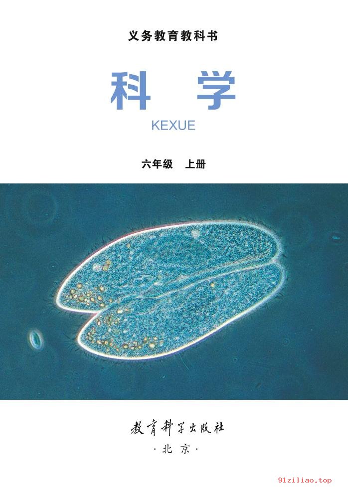 2022年 教科版 科学六年级上册 课本 pdf 高清 - 第2张  | 小学、初中、高中网课学习资料