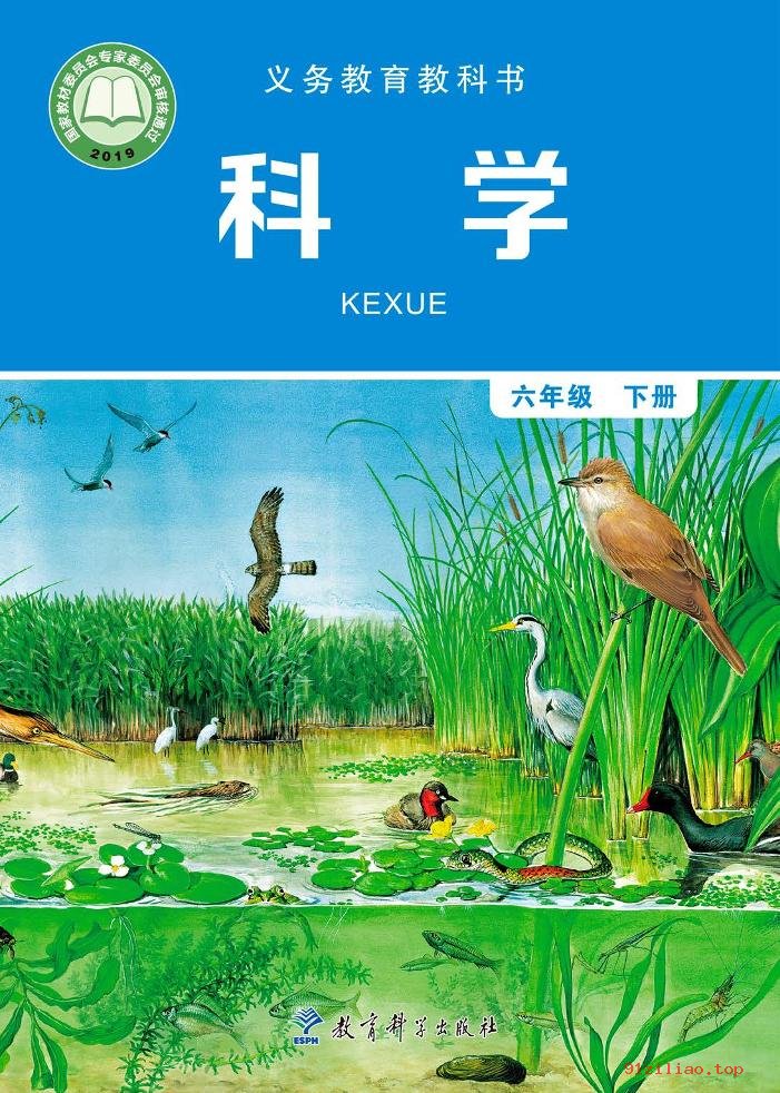 2022年 教科版 科学六年级下册 课本 pdf 高清 - 第1张  | 小学、初中、高中网课学习资料