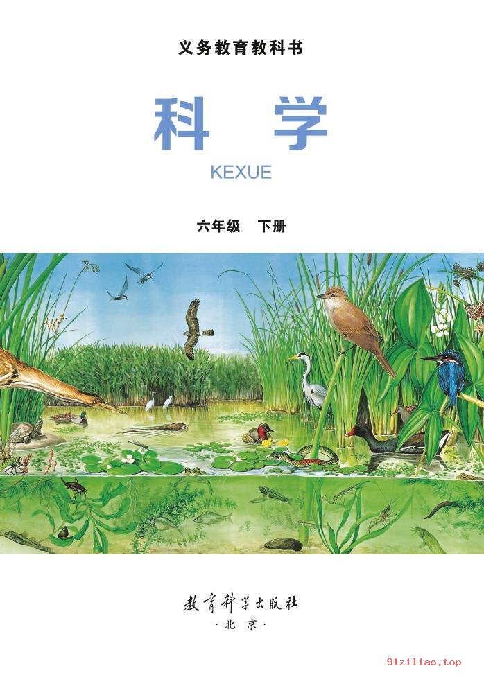 2022年 教科版 科学六年级下册 课本 pdf 高清 - 第2张  | 小学、初中、高中网课学习资料